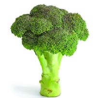 broccoli-01