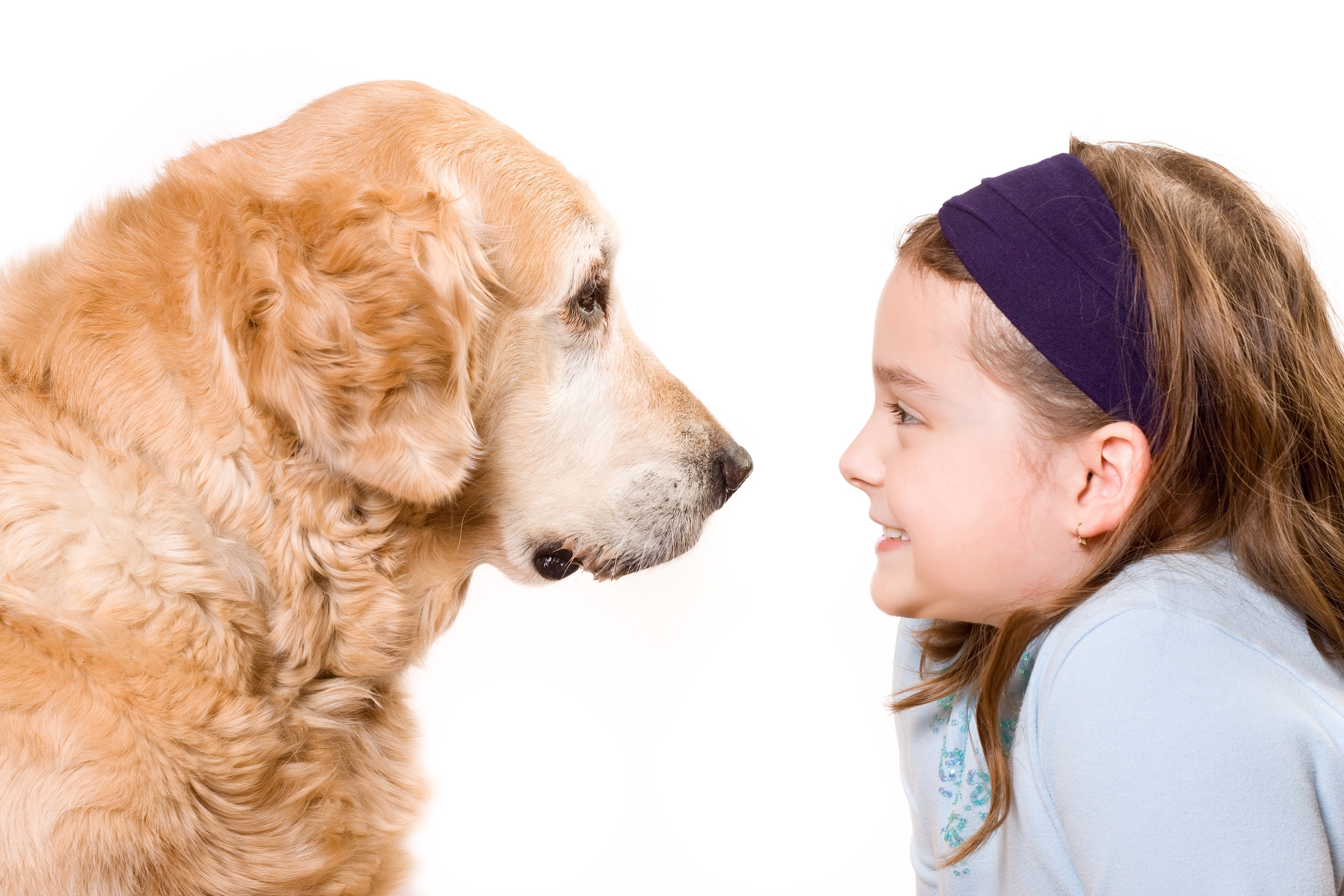 Cute girl and her dog friend